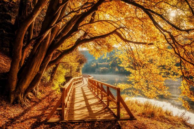 herbstbild.jpg