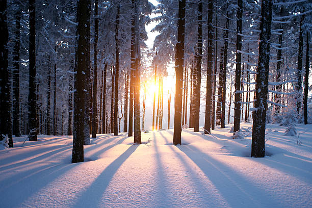 istockphoto_166142148_612x612.jpg istockphoto_166142148_612x612.jpg